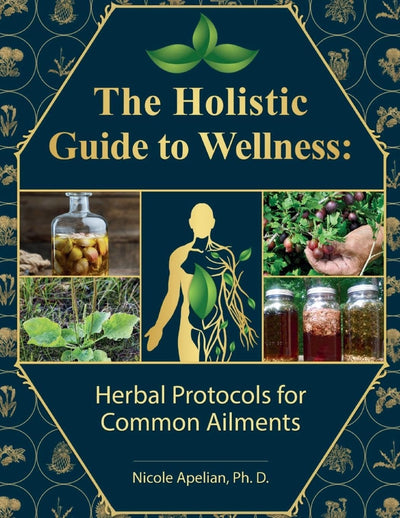 The HolisticEssentials Guide Digital Version